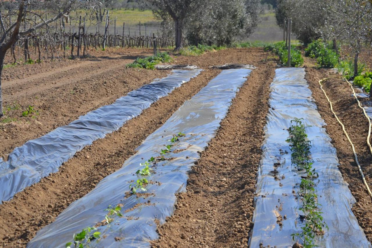 גרוסטו Agriturismo Il Laghetto מראה חיצוני תמונה