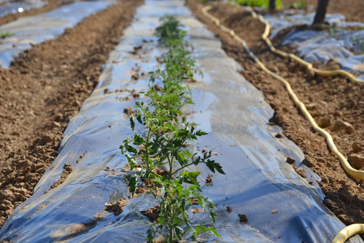 גרוסטו Agriturismo Il Laghetto מראה חיצוני תמונה