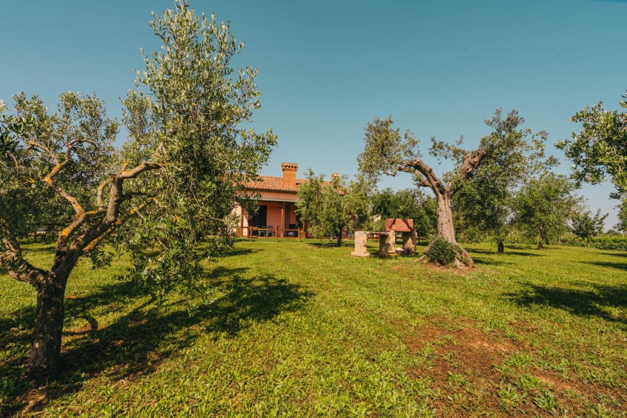 גרוסטו Agriturismo Il Laghetto מראה חיצוני תמונה